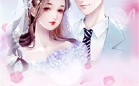 休夫后，全京城贵公子都求她再嫁
