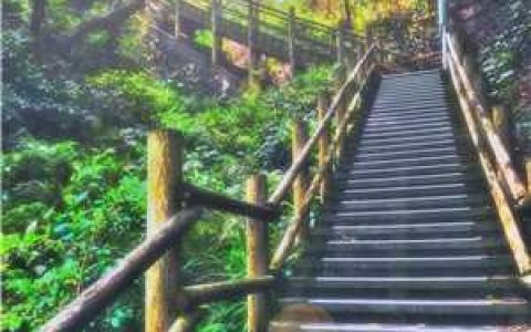 文娱奶爸：给异界亿点文化震撼小说整本版