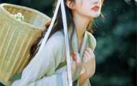 摄政王的娇宠小福妻