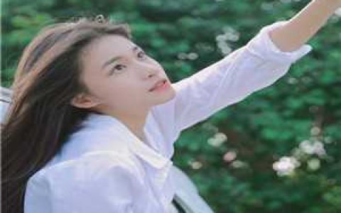 大明：我穿越成了太祖画像李晨朱元璋