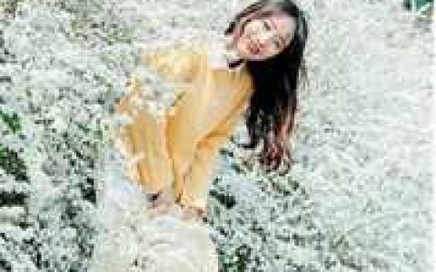 活成前任白月光后，她桃花朵朵开