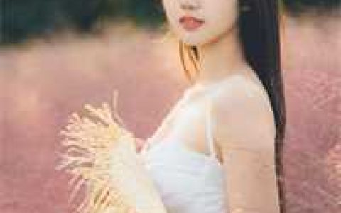 狂徒张三，直播普法
