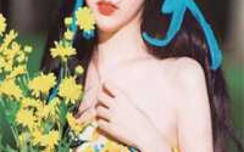 陆爷的闪婚新妻！