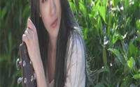 全文不修炼就被清冷妖皇压着生崽崽