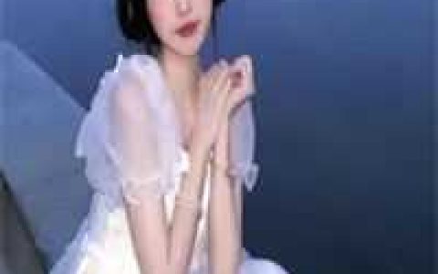 小说山河美人谋